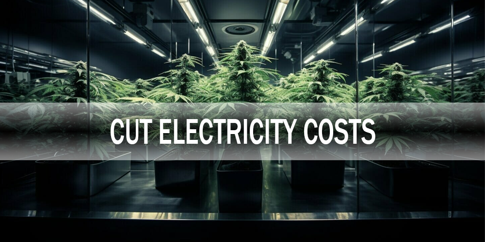 Enegry Efficiency of Your Cannabis Grow Room