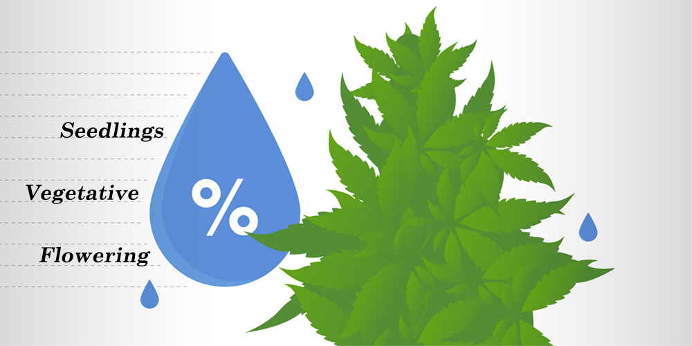 Humidity Levels at Different Stages of Cannabis Growth