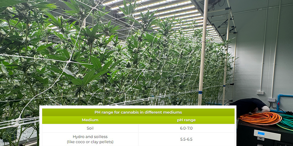 Indirect Effects of Soil pH on Greenhouse Dehumidification