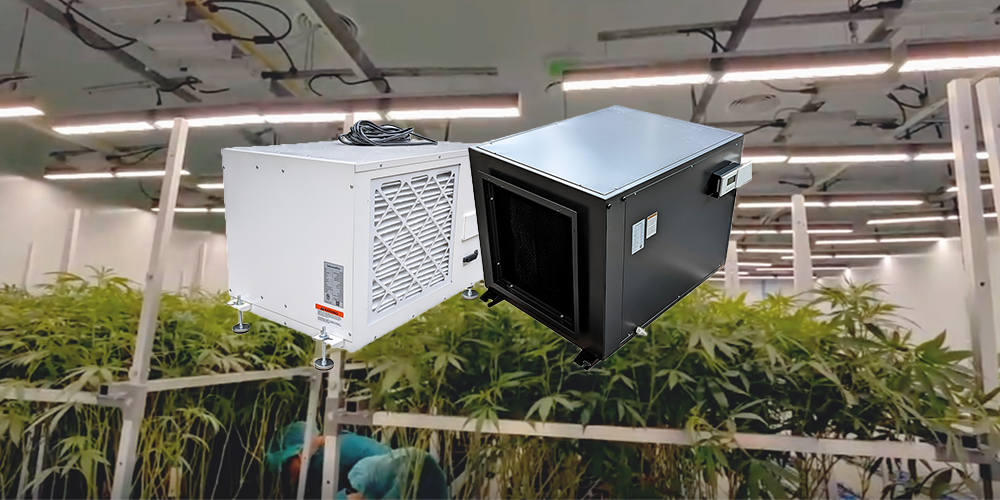 Industrial Ceiling Mouted Dehumidifier for Grow Room