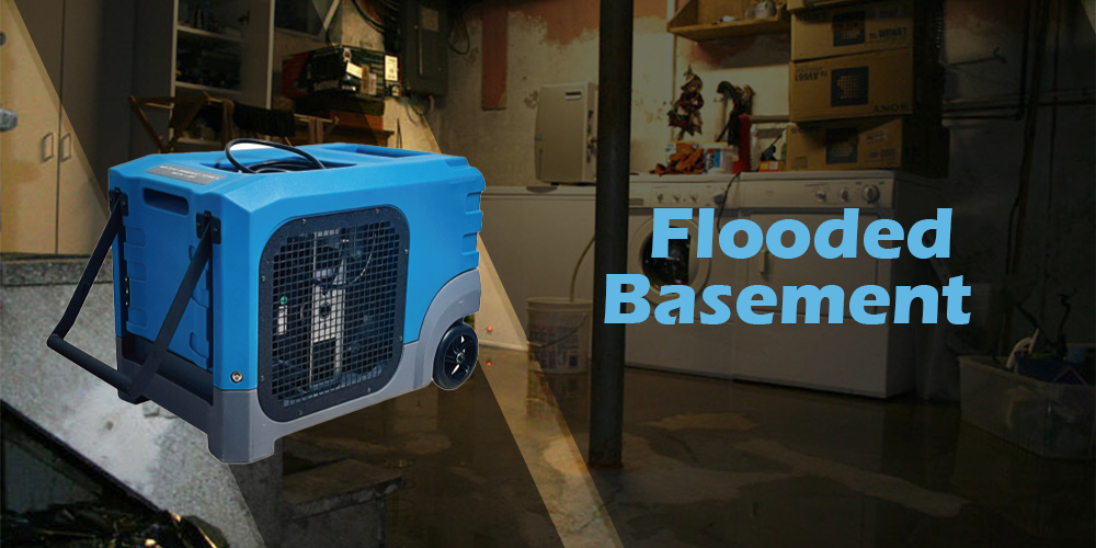 Lgr155 Efficient Dehumidifier for Flooded Basement