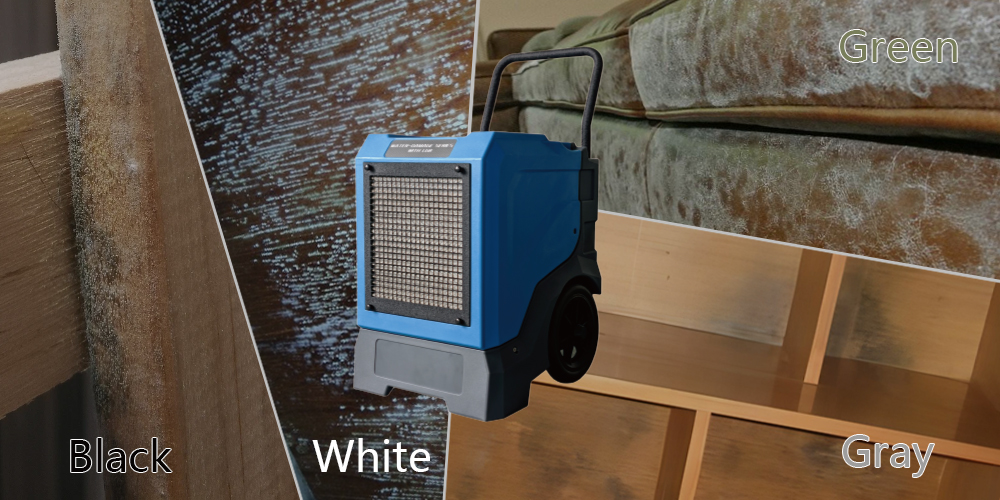 Lgr85l Efficient Dehumidifier for Black Mold Prevention