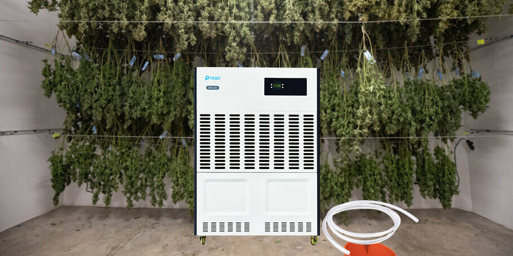 Preair Cfz40 Large Industrial Dehumidifier for Greenhouse