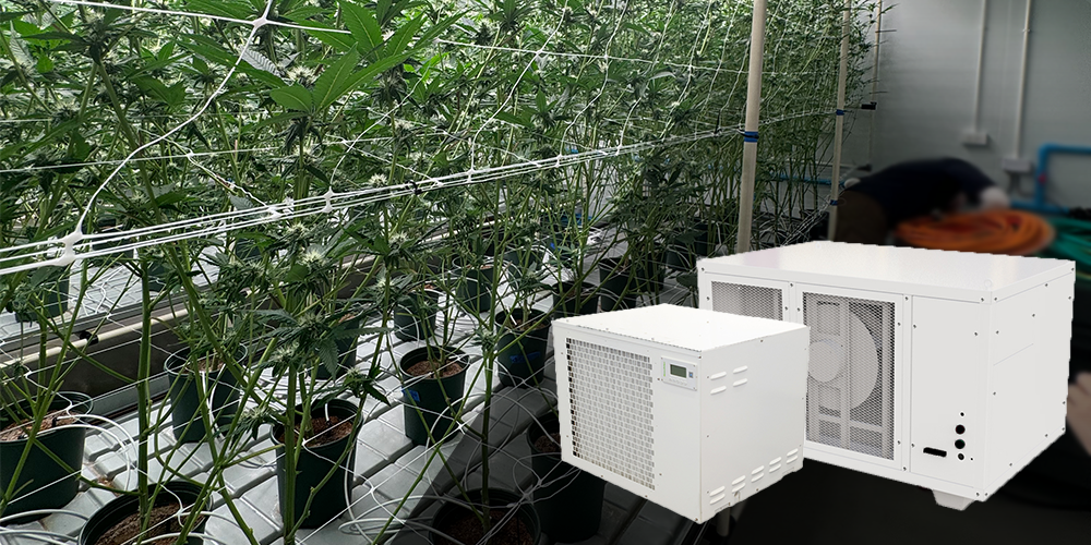 Preair Pro Series High Quality Industrial Dehumidifiers for Grow Room