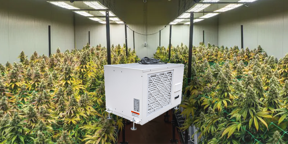 Pro230 Grow Room Dehumidifier Efficient