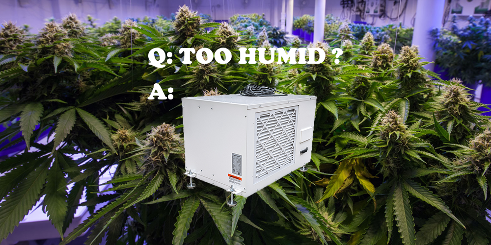 Pro230 Grow Room Dehumidifier with Remote Control