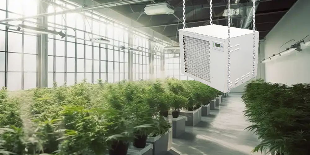 Pro300 Ceiling Hung Dehumdifieir for Grow Room