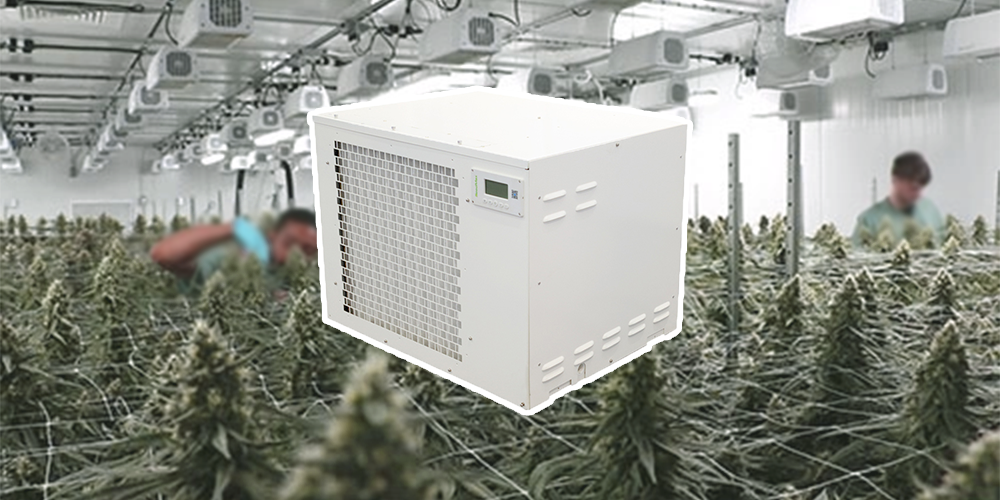 Pro300 Grow Room Dehumidifier High Efficiency