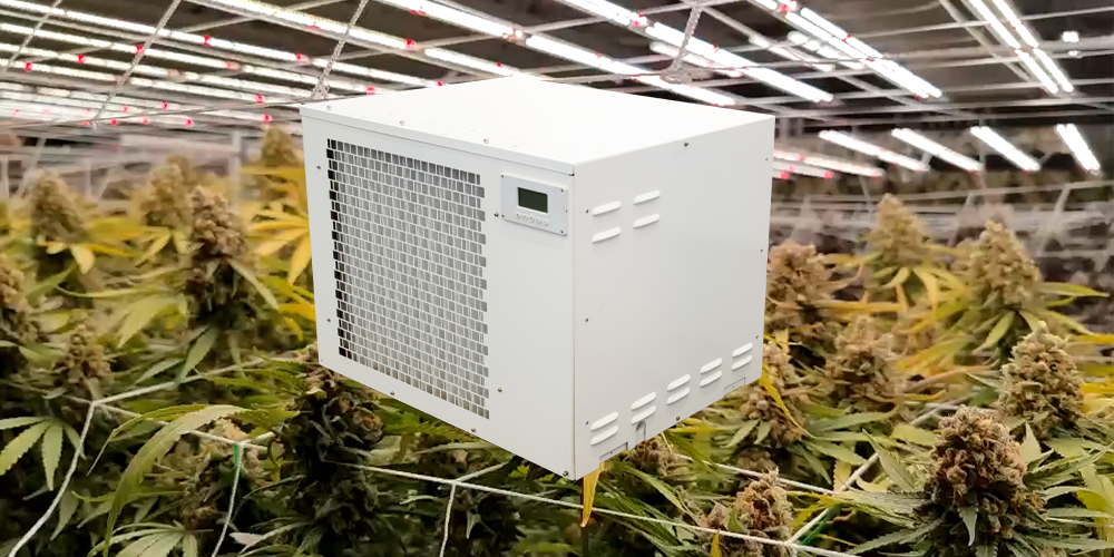 Pro330 Grow Room Dehumidifier for Weed