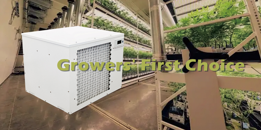 Pro330 Wall Mounted Dehumidifier for Grow Room