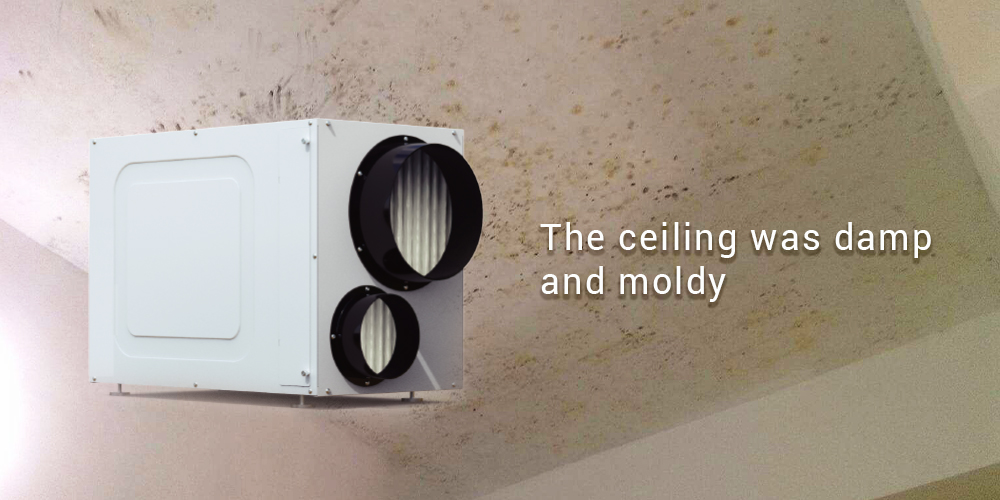Wh135 Home Dehumidifier for Damp Ceiling