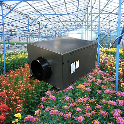 Zeta145 Efficient Dehumidifier for Flower Growth