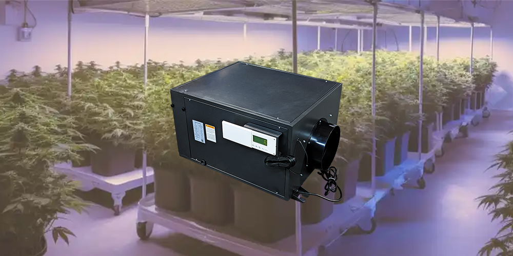 Zeta145 Industrial Dehumidifier for Greenhouse