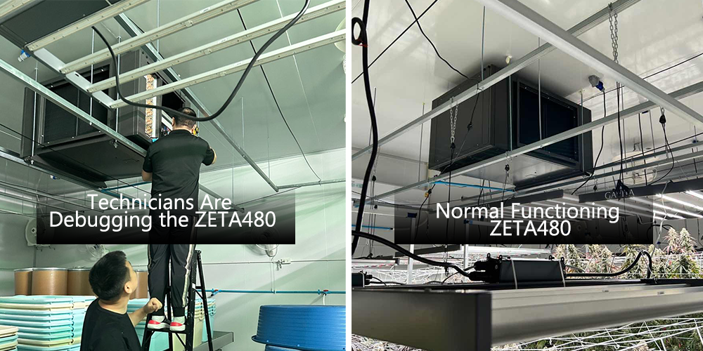 Zeta480 Industrial Strength Dehumidifier for Grow Room